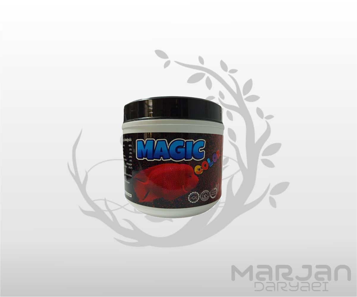 غذای رنگدهنده فلاور MAGIC COLOR (920 گرم)