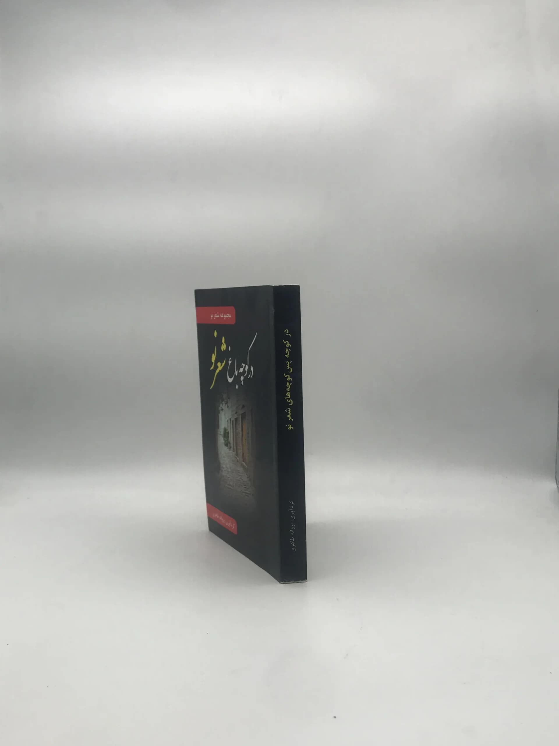 در کوچه باغ شعر نو — تصویر ۴