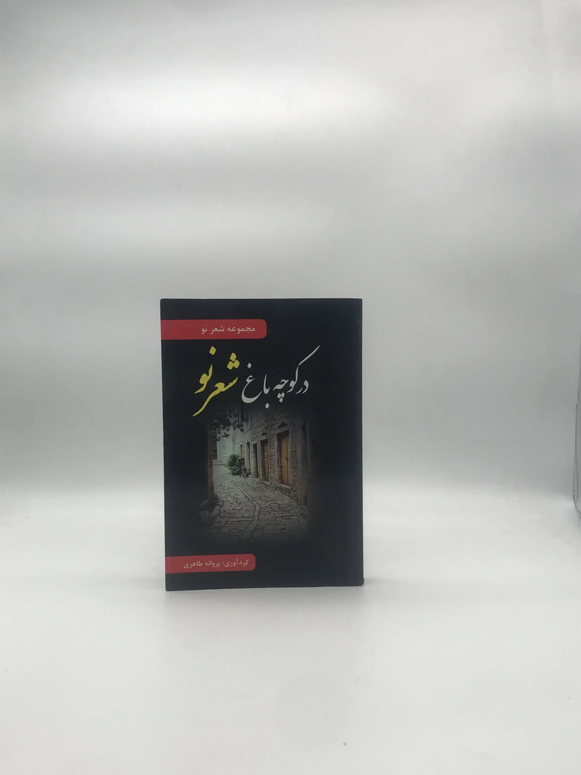 در کوچه باغ شعر نو — تصویر ۲