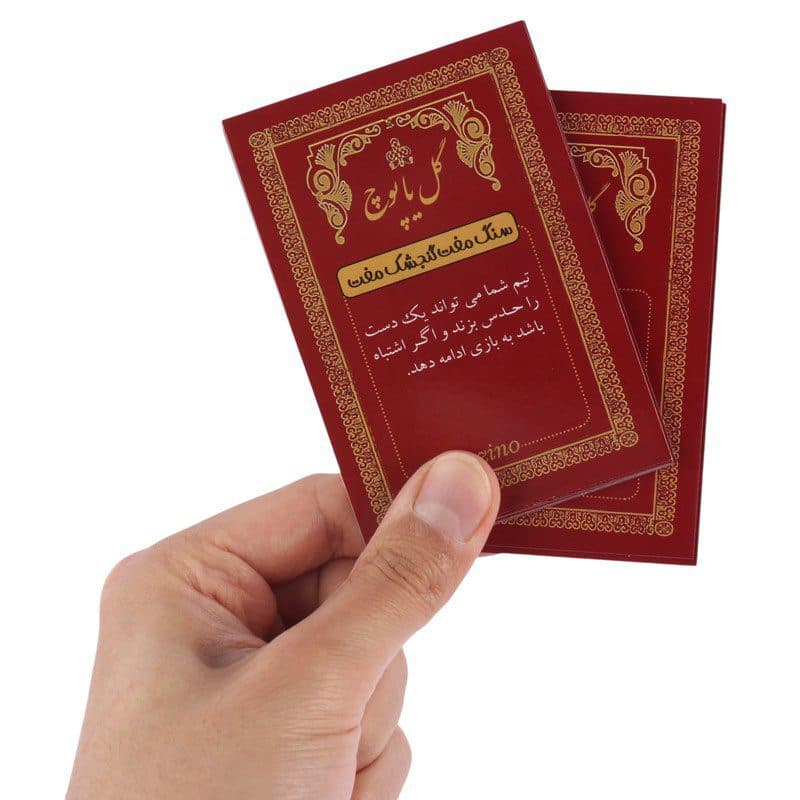 بازی فکری گل یا پوچ با گوی های فلزی برند زینو — تصویر ۴