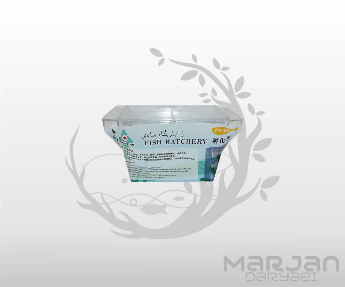 زایشگاه کوچک آسیان استار