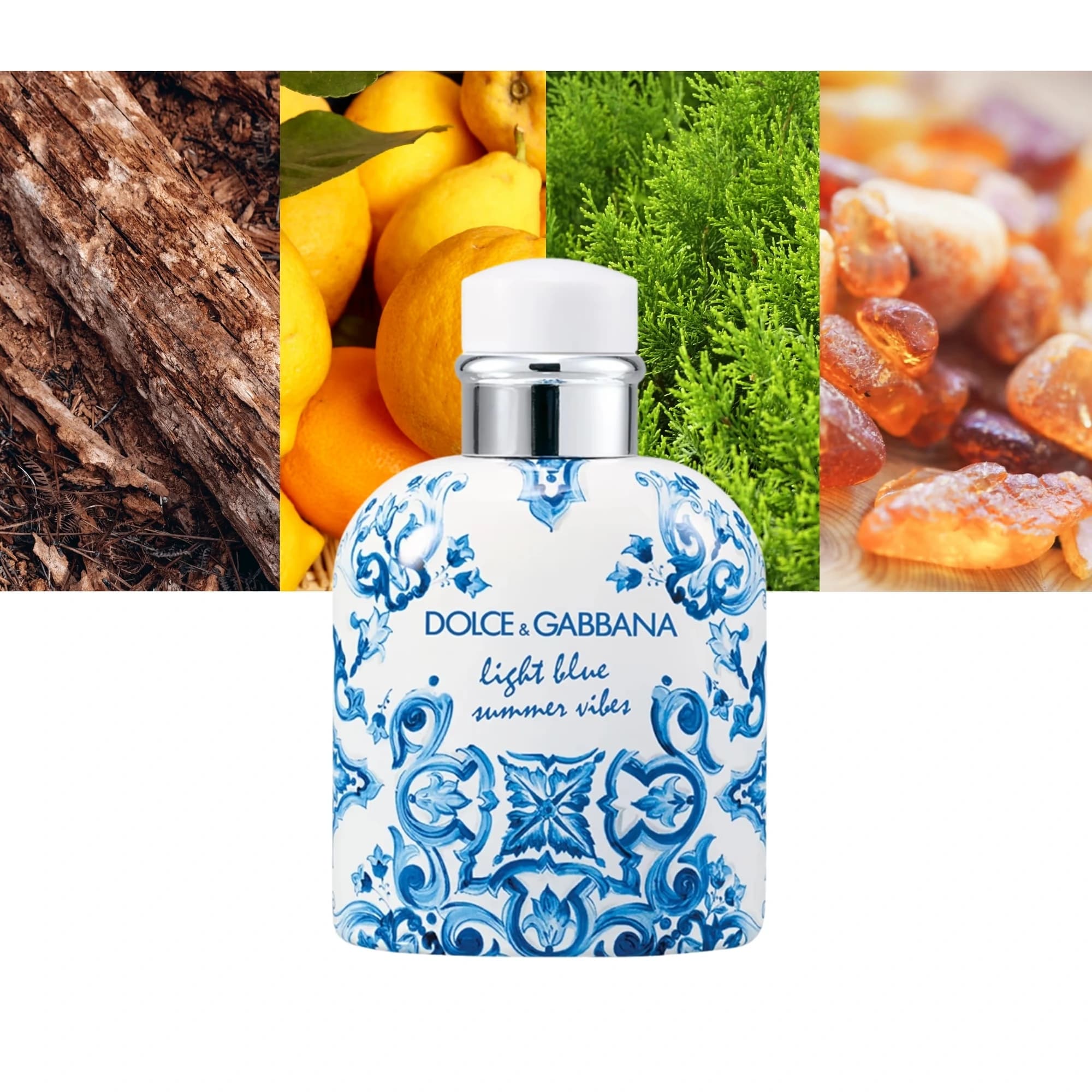عطر ادکلن دولچه گابانا لایت بلو پور هوم سامر وایبس | Dolce & Gabbana Light Blue Pour Homme Summer Vibes — تصویر ۵