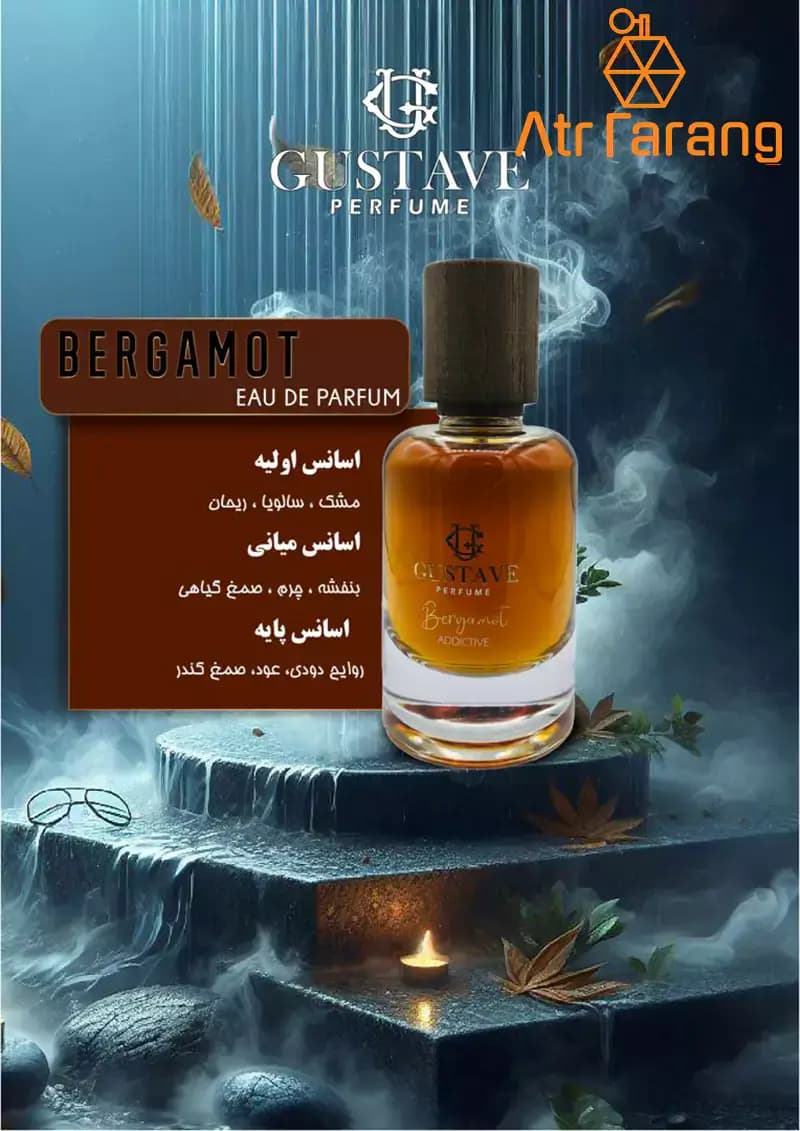 عطر مردانه گوستاو مدل برگاموت حجم 100ml — تصویر ۳