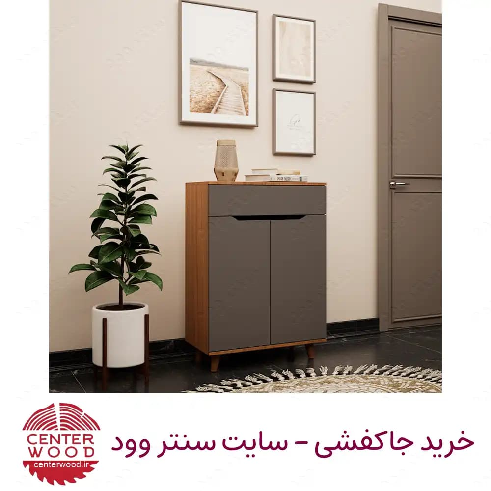 جاکفشی درب کابینتی دو درب تک کشو کد 076 — تصویر ۳