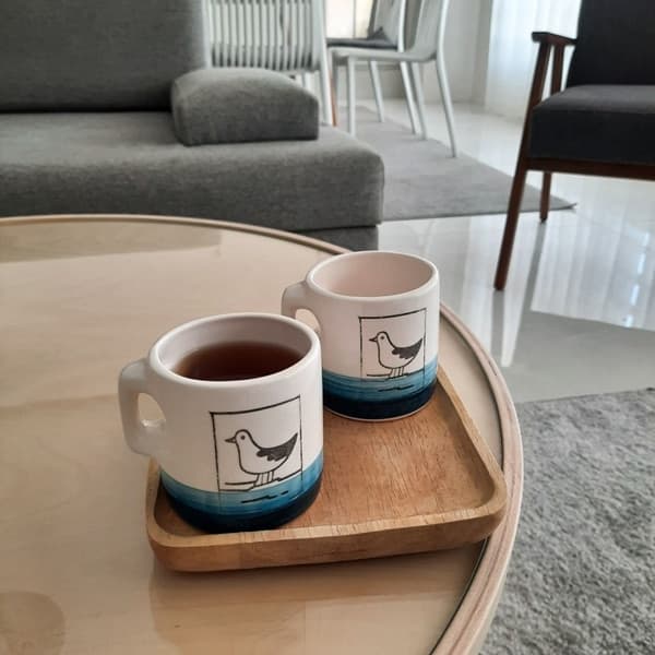 فنجان مرغ دریایی کاکایی — تصویر ۴