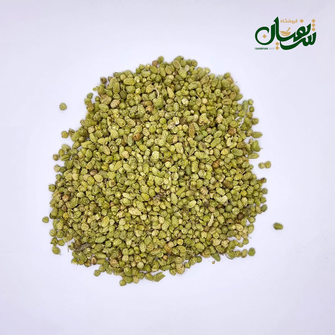 اورگانو بولد — تصویر ۳