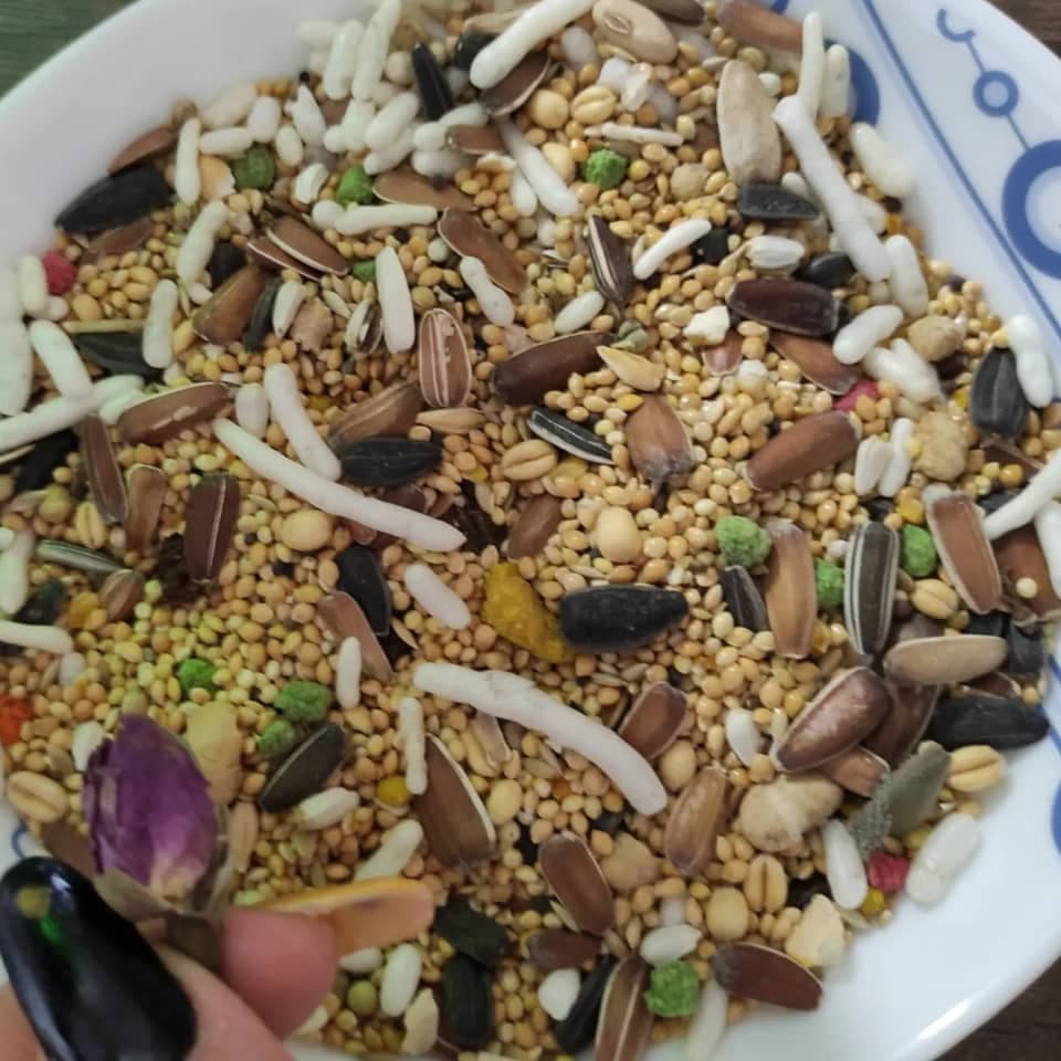 دانه مخلوط طوطی برد فید — تصویر ۲