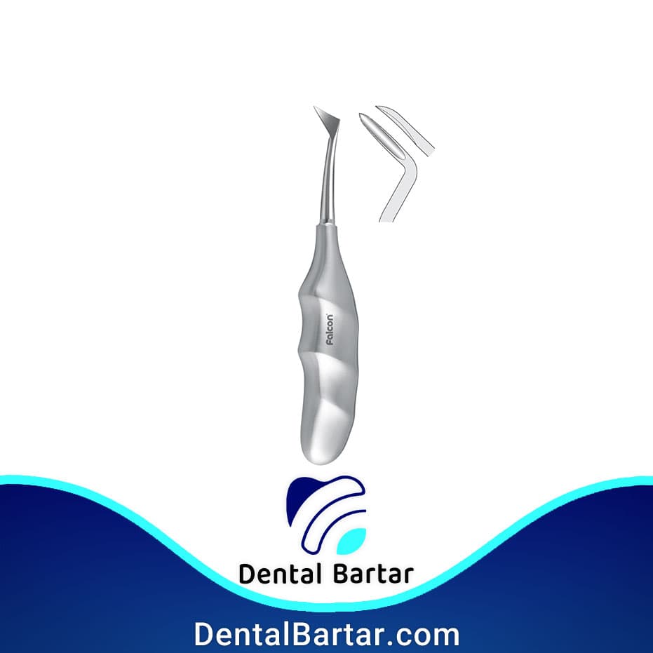 الواتور سوزنی فلوهر راست آناتومیک
