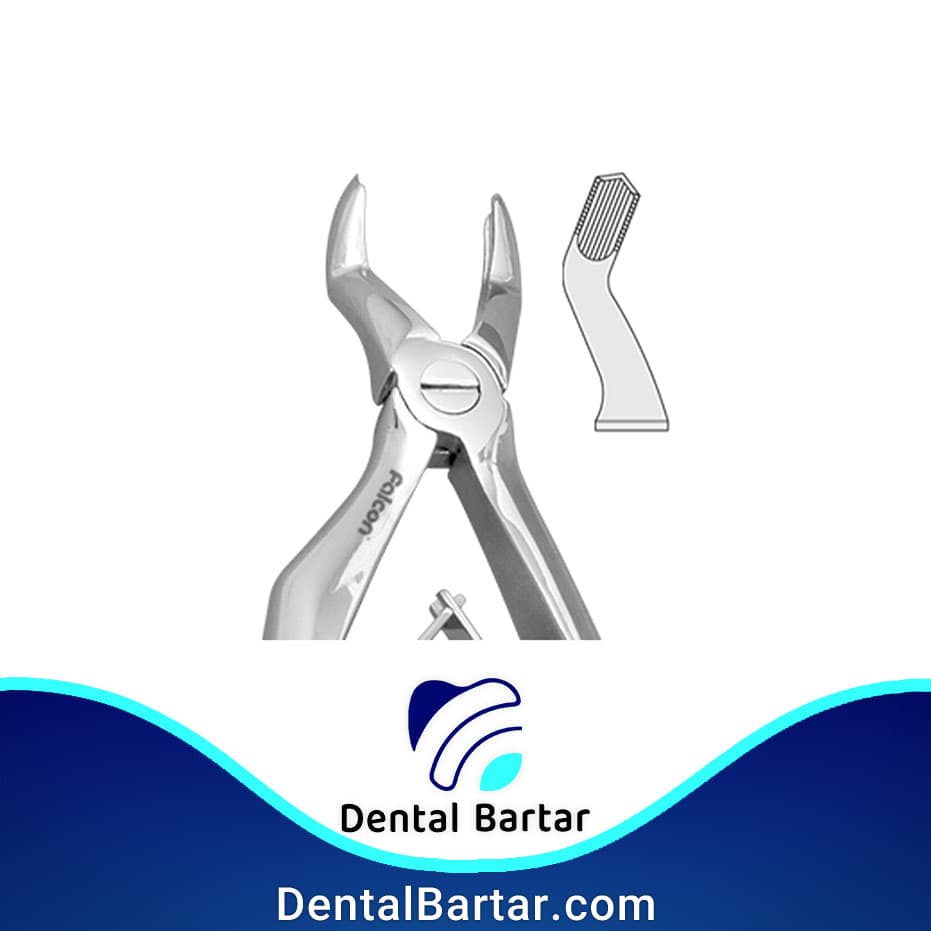 فورسپس مولر بالا چپ و راست ( fig3)