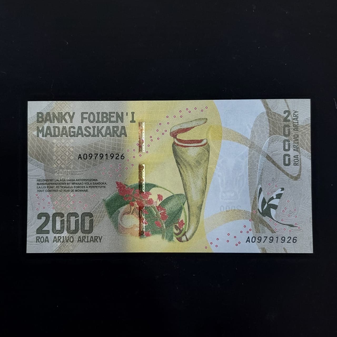اسکناس ماداگاسکار 2000 آریاری — تصویر ۲