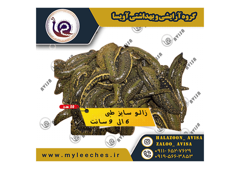 فروش 50 عددی زالو طبی