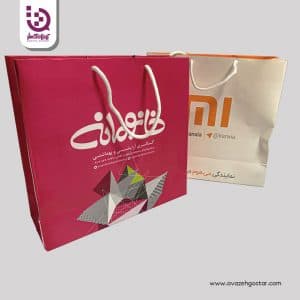 بگ پلیمری