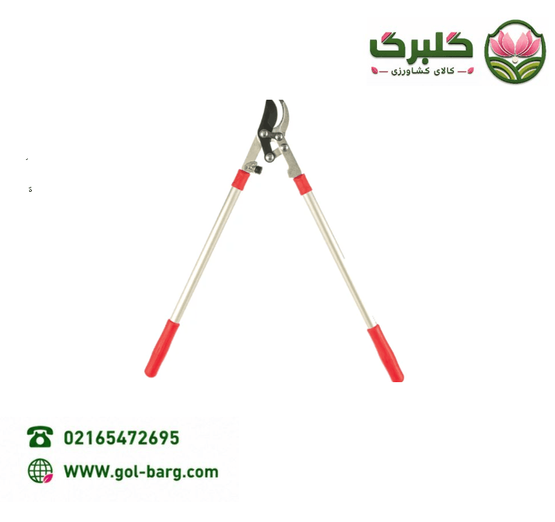 لوسیون بدن روشنکننده و ضد لک فیتونیا 300میل — تصویر ۴