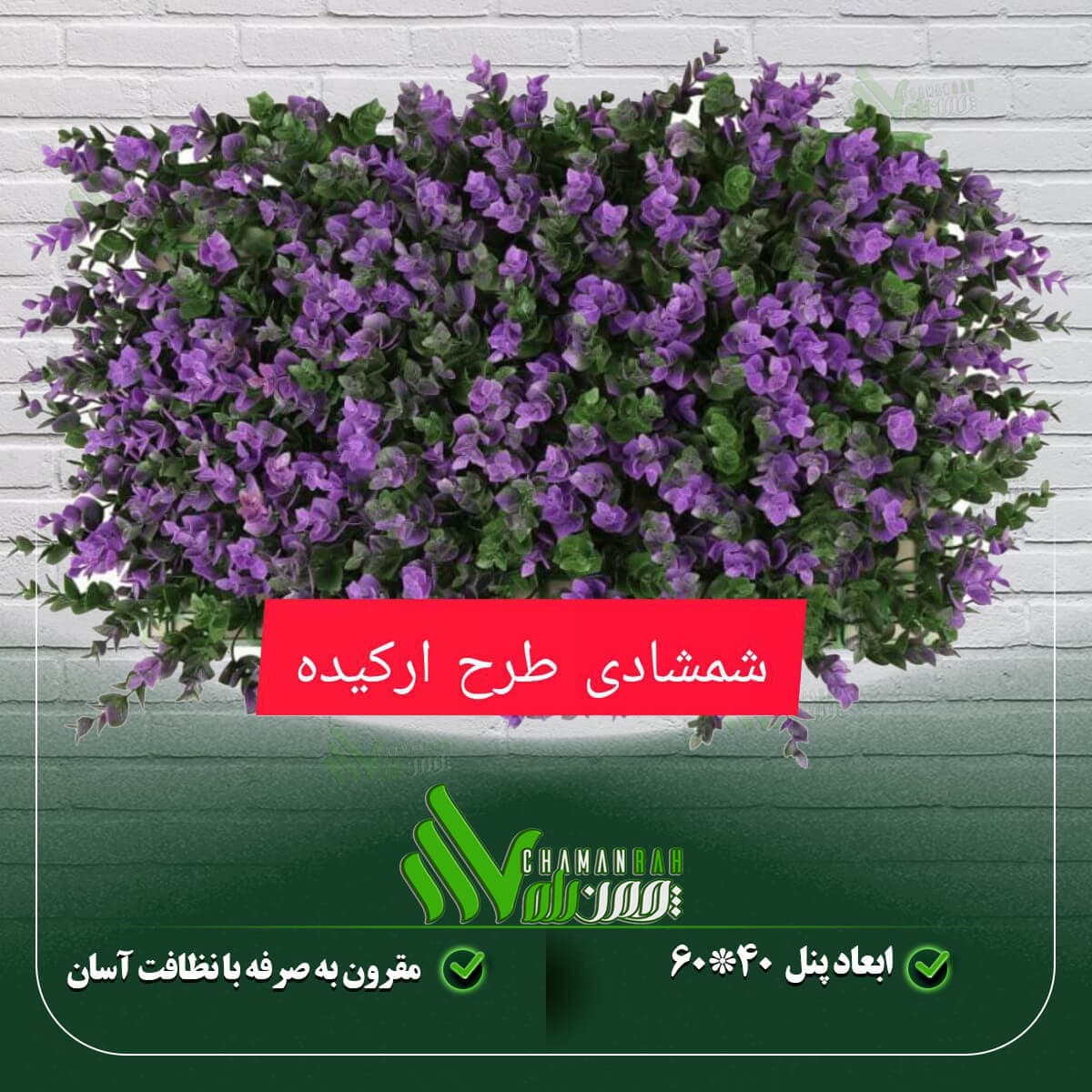 گرین وال شمشادی طرح ارکیده