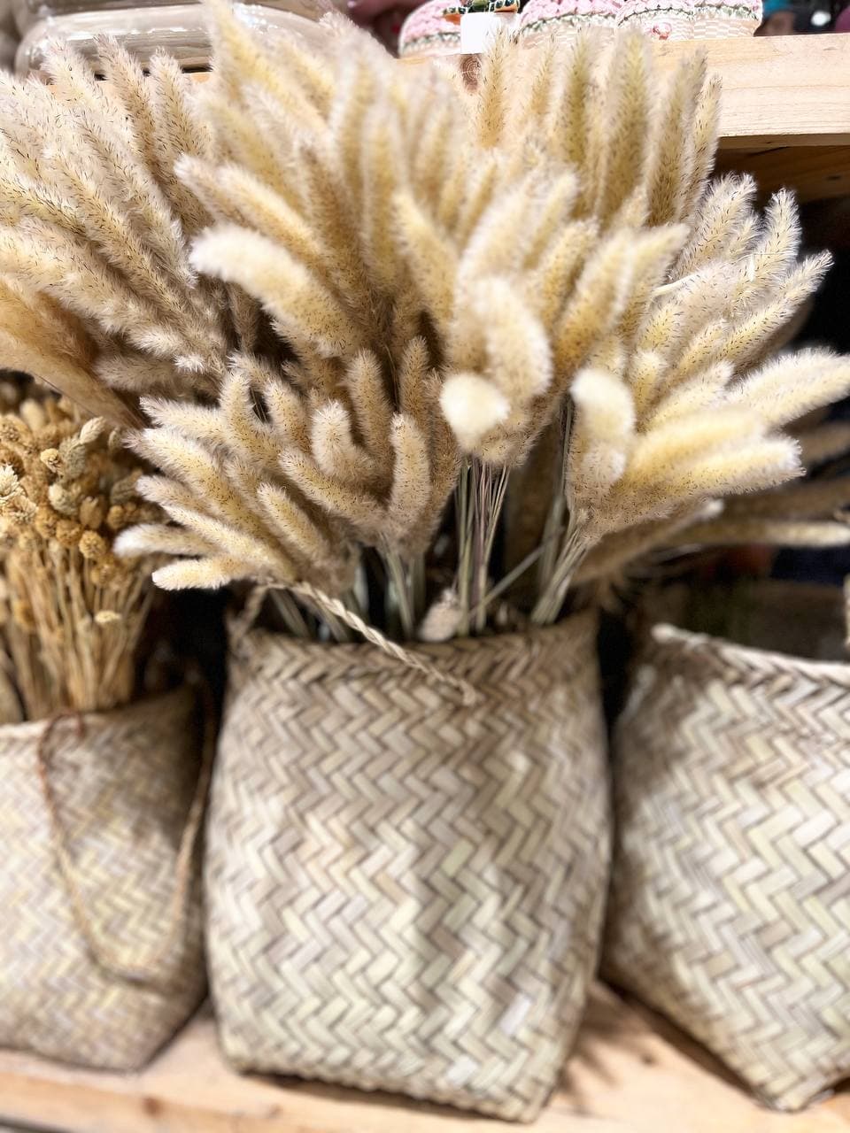 گل دم روباهی