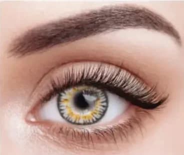 لنز رنگی چشم نیو ویژن پرو 6 ماهه طوسی عسلی روشن مدل Amber Gray 3