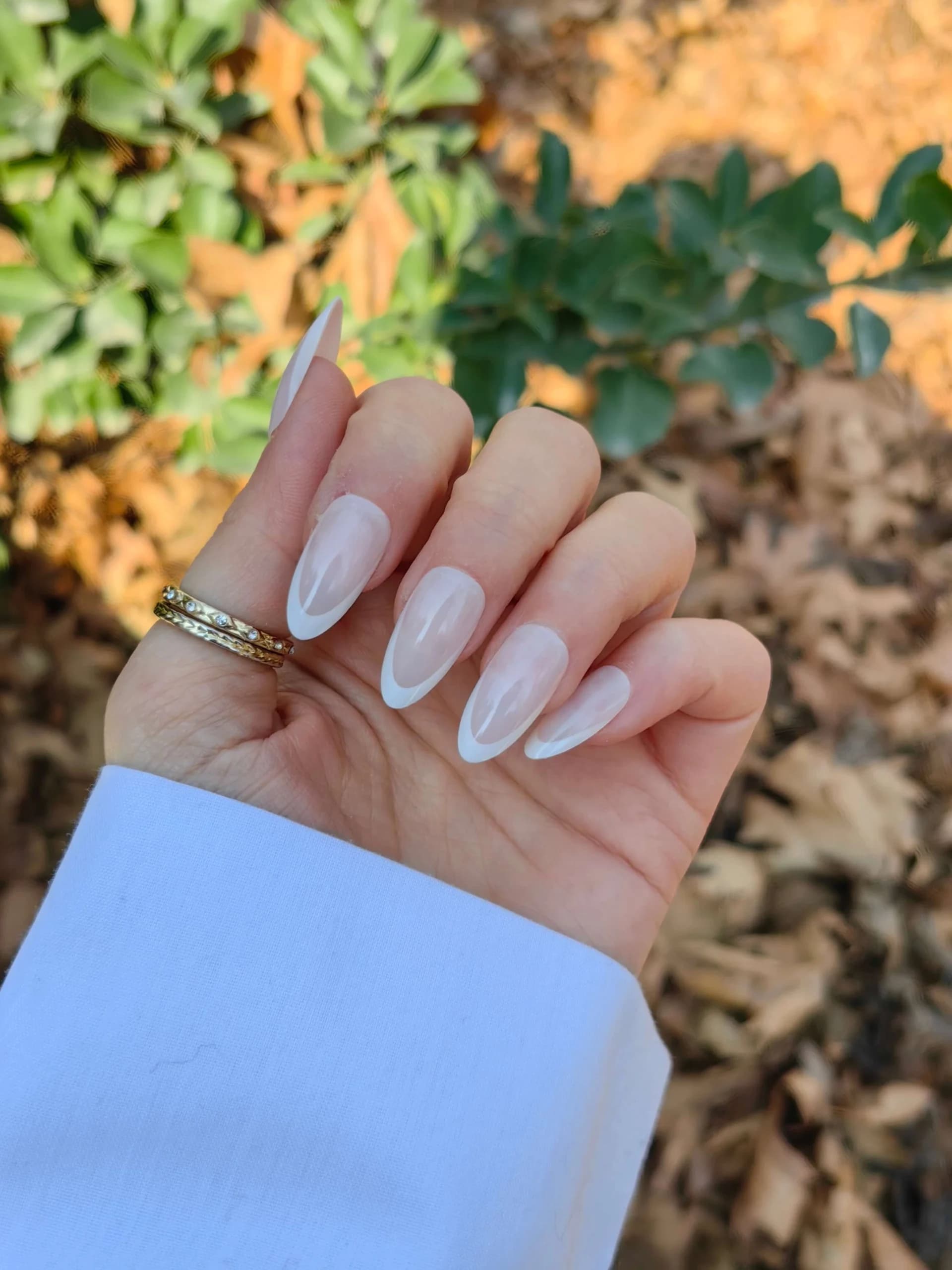 ناخن مصنوعی رنگ ناخن طرح فرنچ راسا – RSN0424 — تصویر ۳