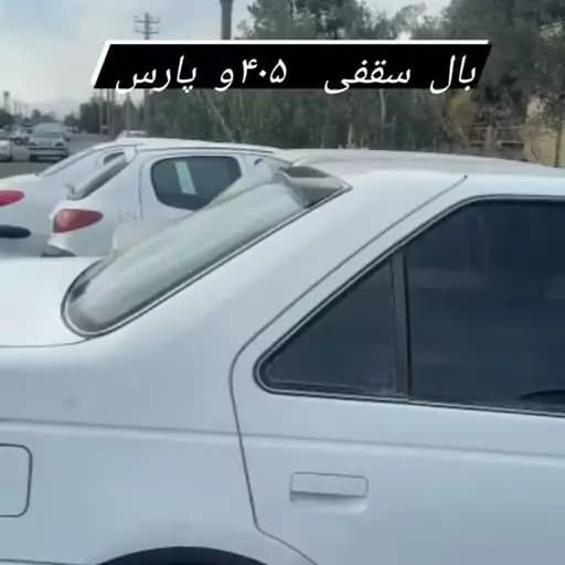 بال زیرسقفی 405 و پارس — تصویر ۲