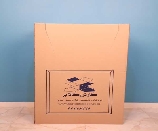 کارتن حمل لباس مجلسی رگال دار — تصویر ۴