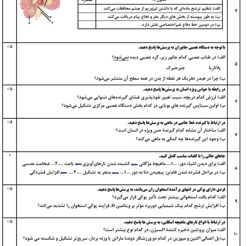 آزمون شبیه ساز نهایی تجربی یازدهم جامع