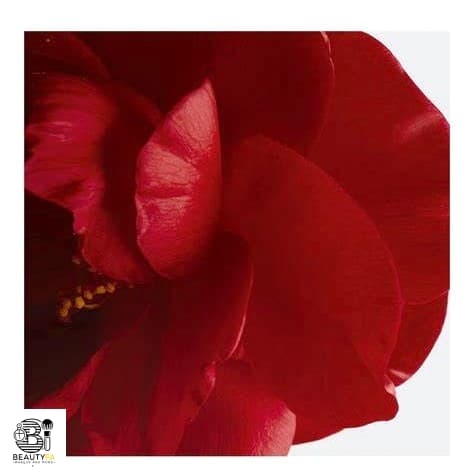 بالم لب و گونه کره ای جوانساز شنل ‏ — تصویر ۵