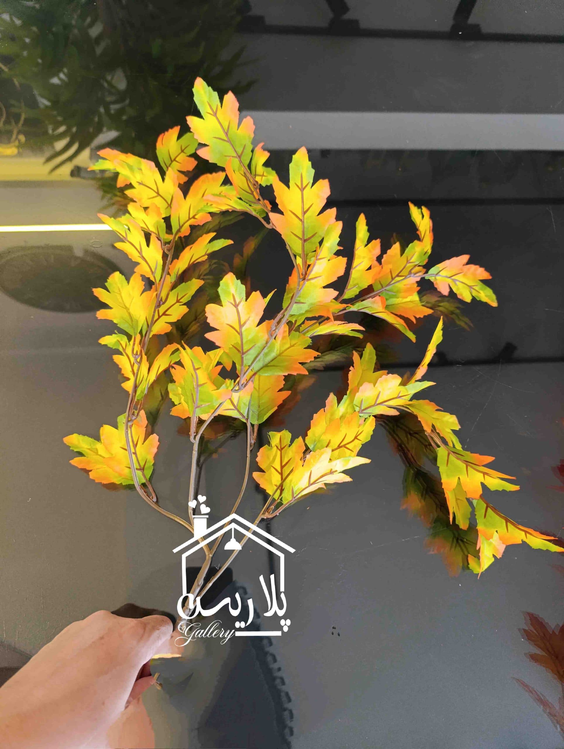 شاخه بلوط پاییزی وارداتی در چهار رنگ — تصویر ۶