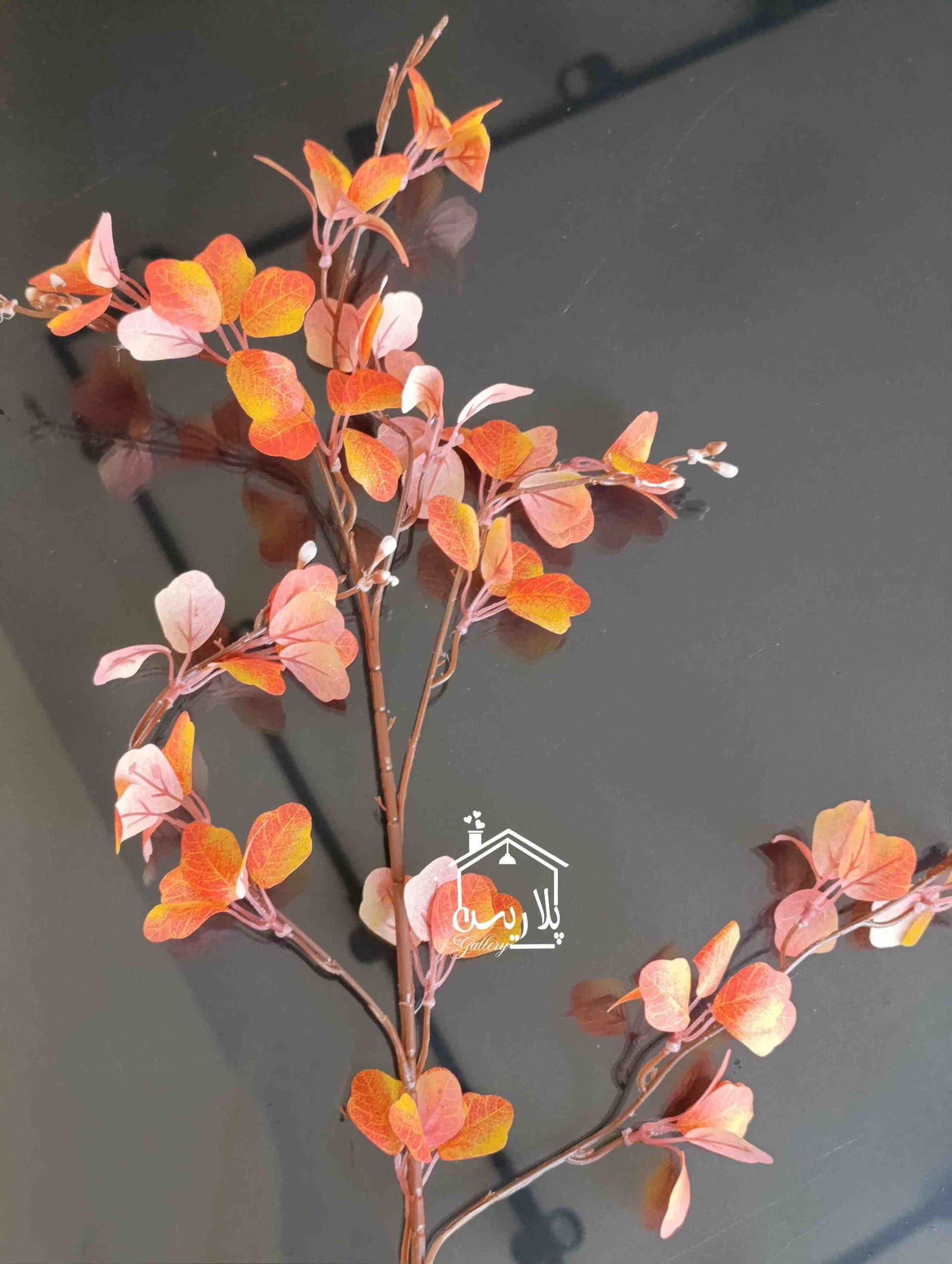 شاخه اکالیپتوس پاییزی وارداتی در دو رنگ — تصویر ۴