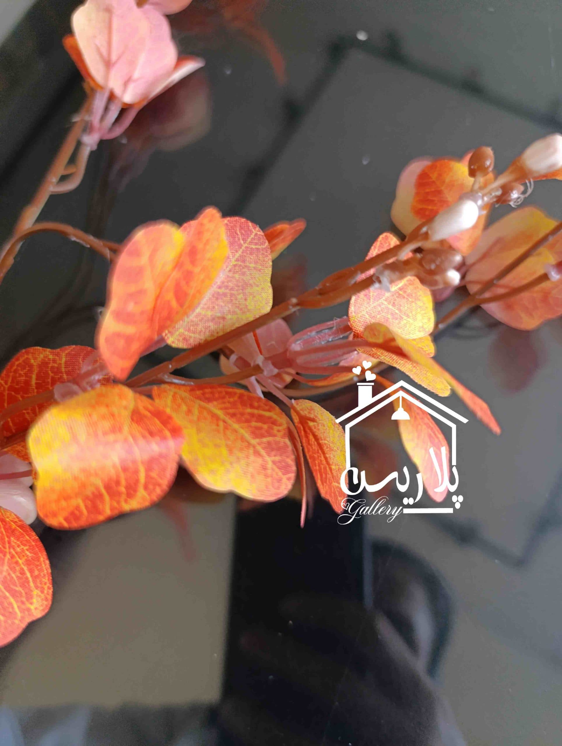 شاخه اکالیپتوس پاییزی وارداتی در دو رنگ — تصویر ۳
