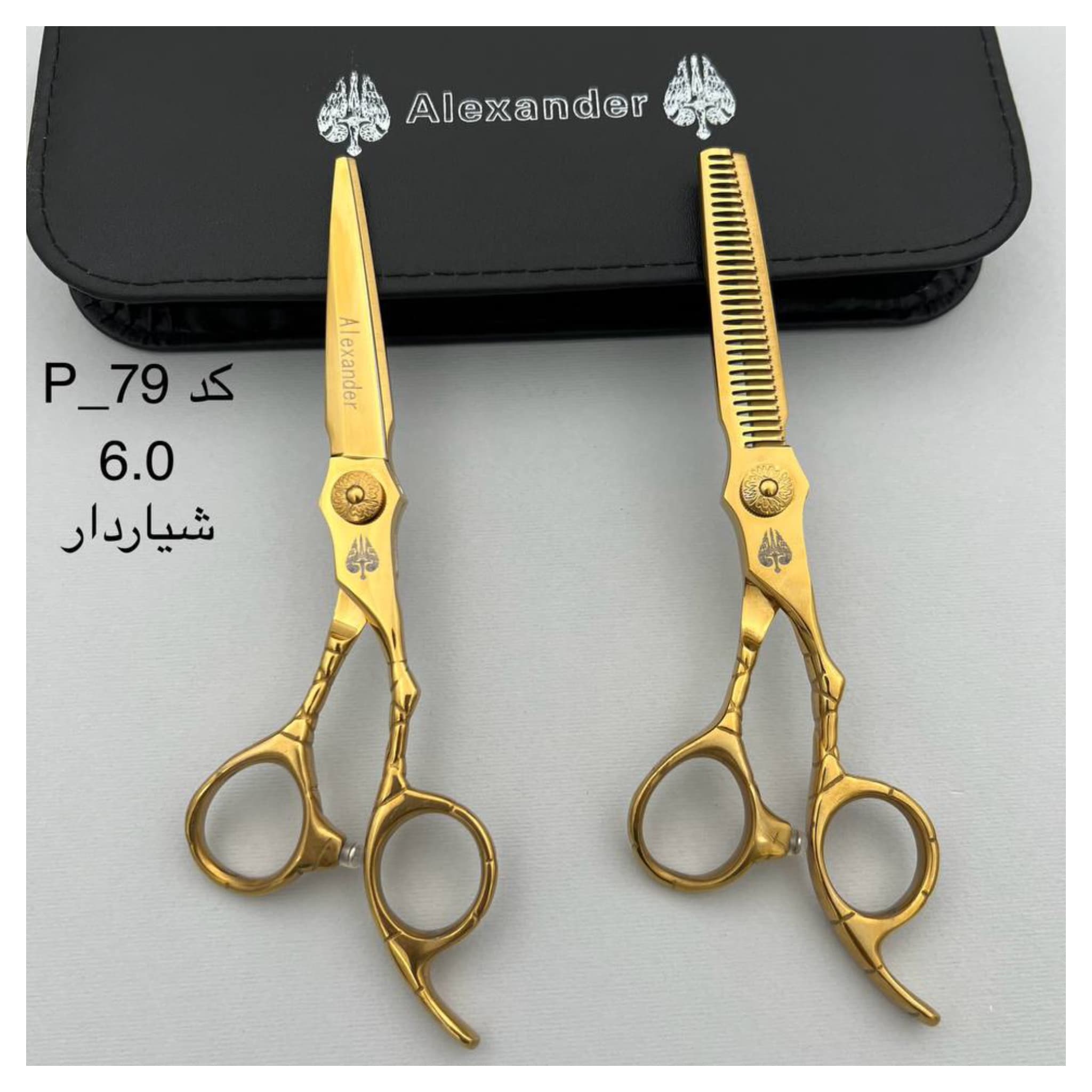 ست قیچی 6 اینچ الکساندر کد P-79