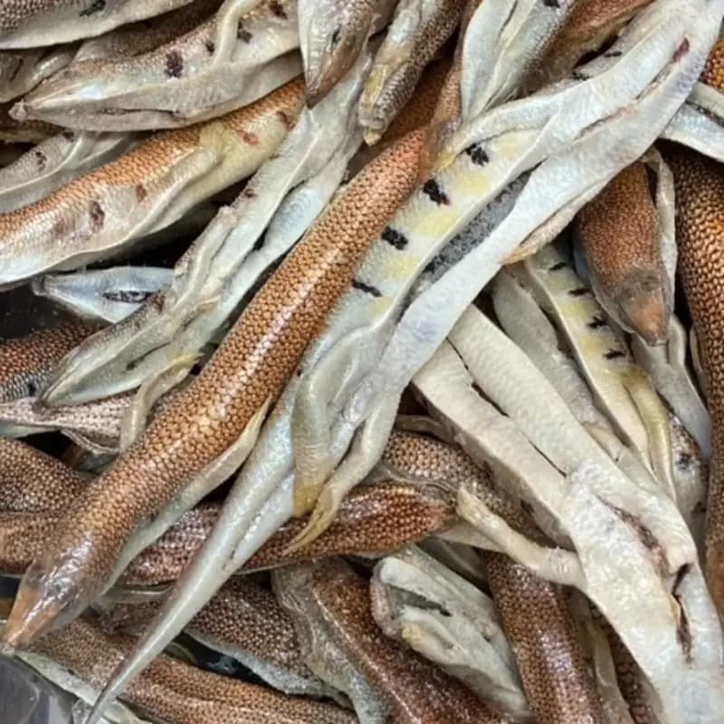 ماهی سمنقور اصل 30 گرم