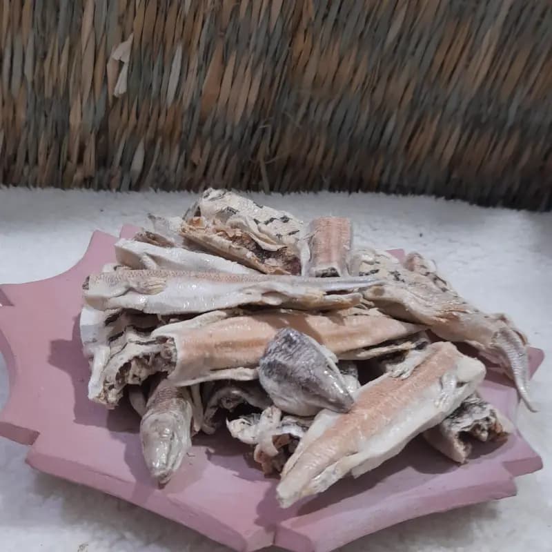 ماهی سمنقور اصل 10 گرم