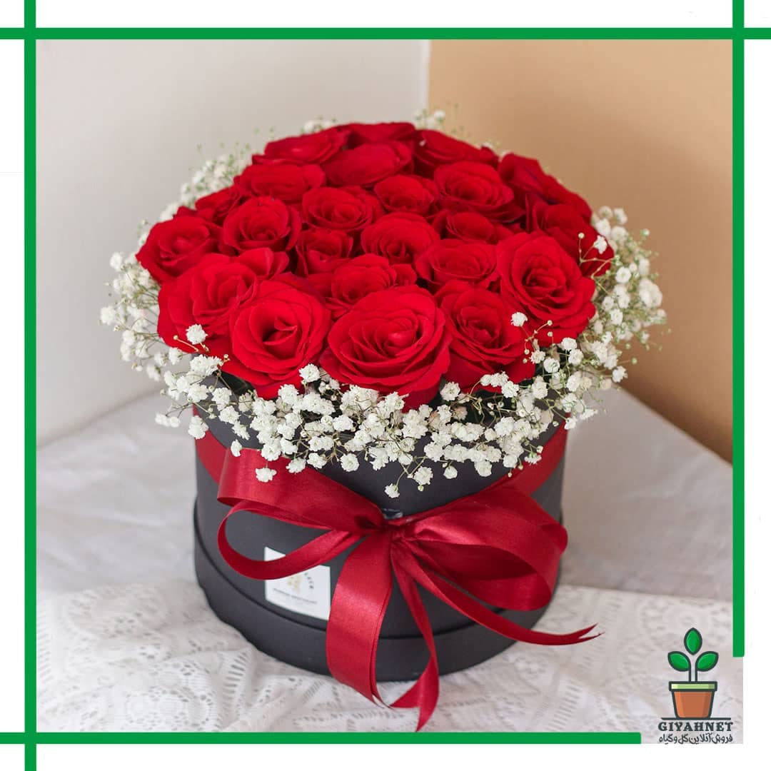 باکس گل رز کد 105