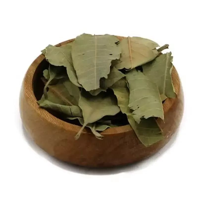 برگ انبه 50 گرم