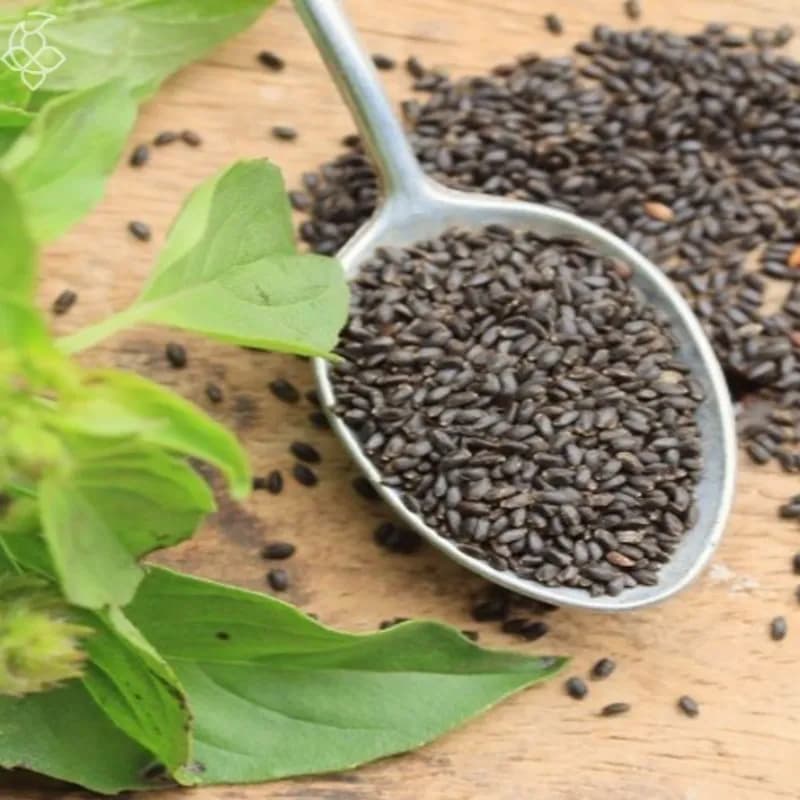 تخم (بذر) ریحان سبز 150 گرم