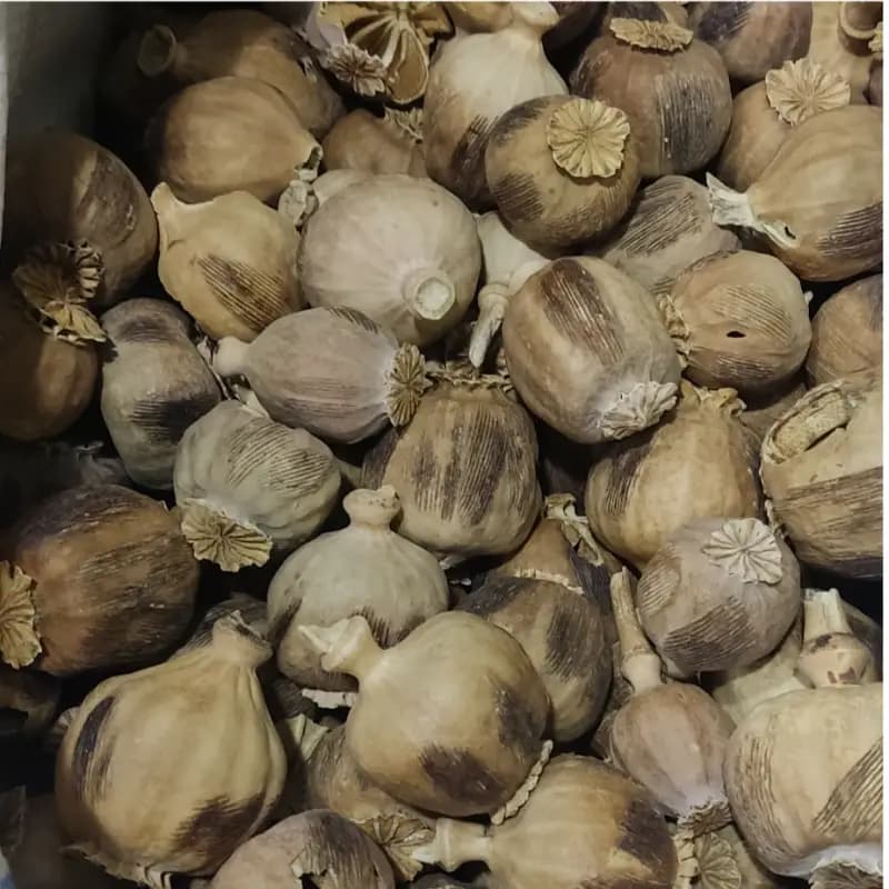 گرز خشخاش 100 گرم