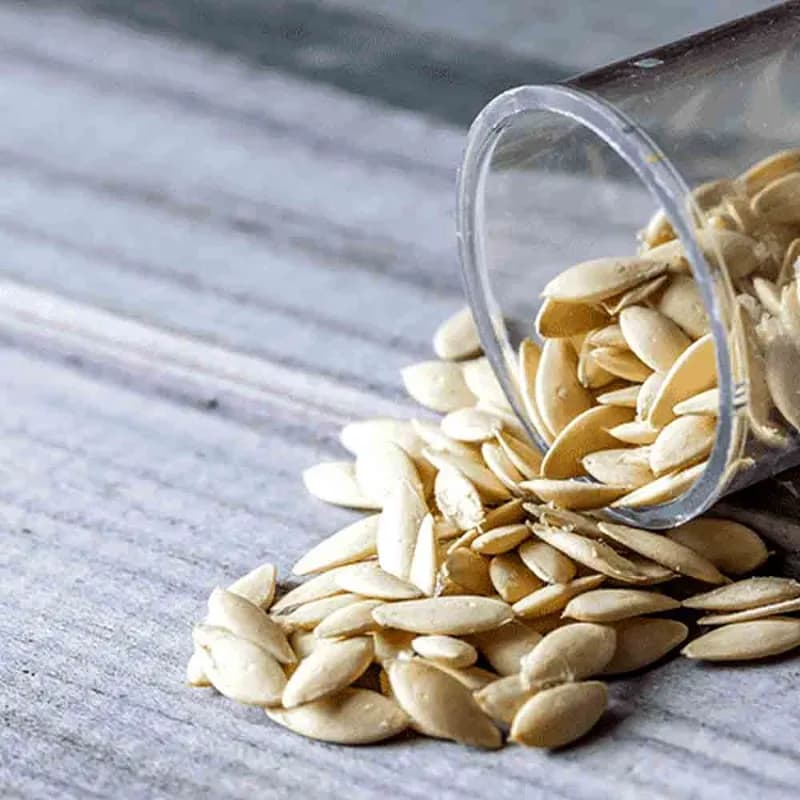 تخم (بذر) خیار چنبر 40 گرم