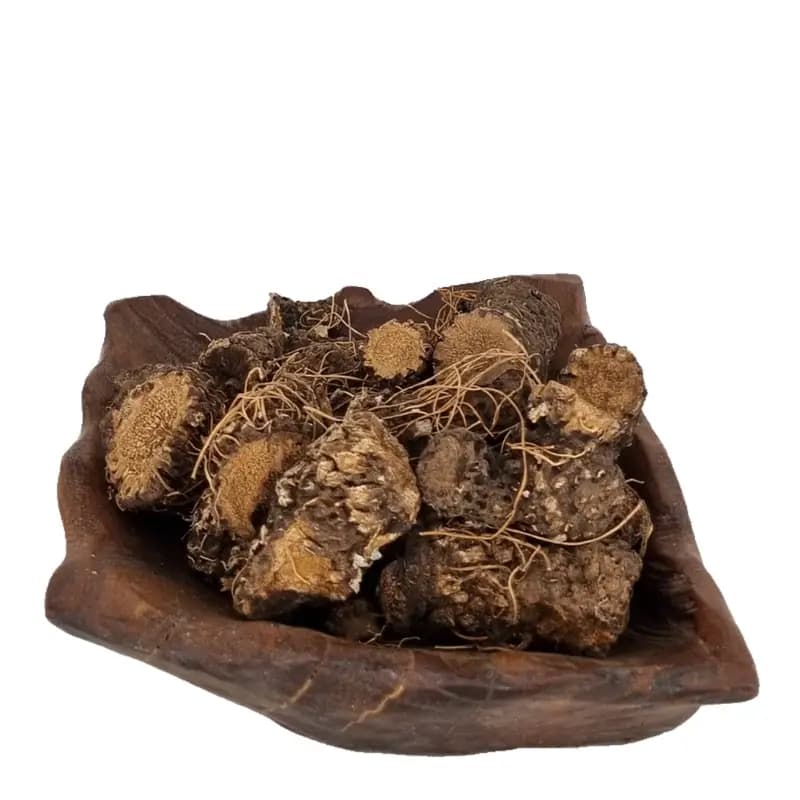 گیاه کندش سوری اصل 40 گرم