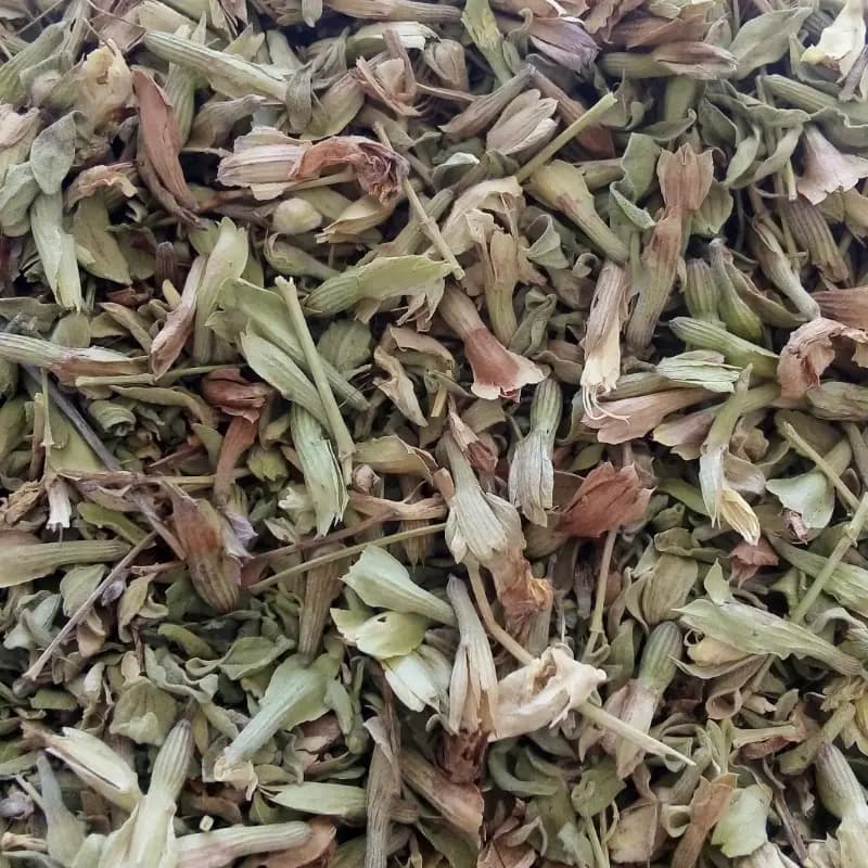 زرین گیاه (بادرنجبویه دنایی) 50 گرم