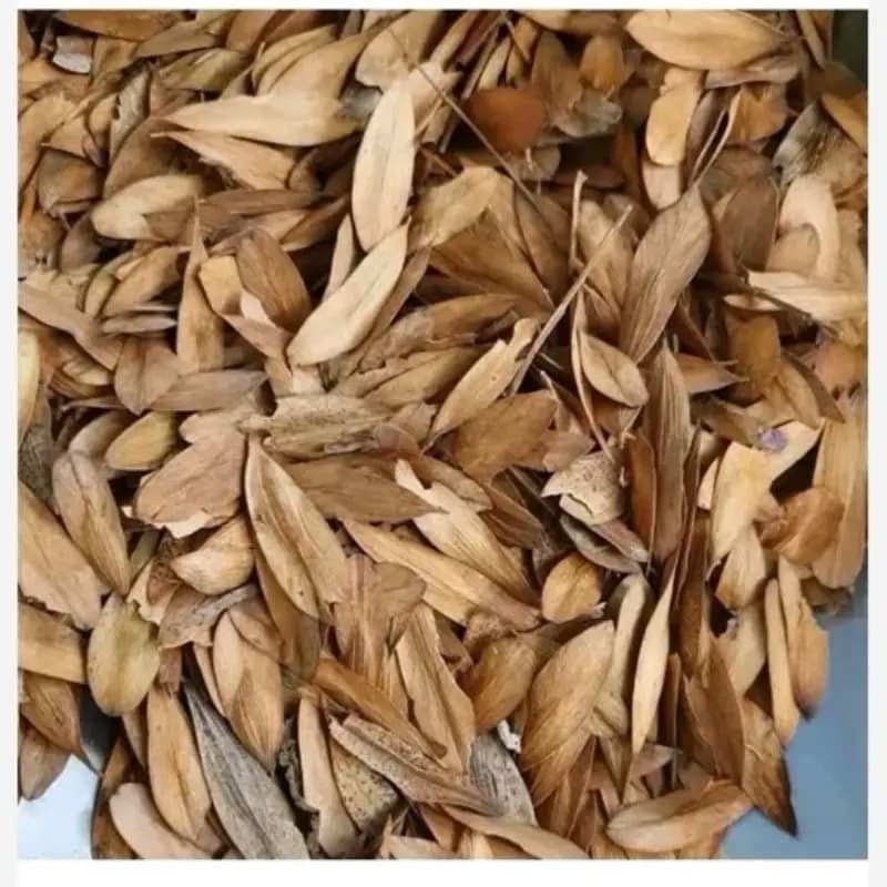 زبان گنجشک 100 گرم