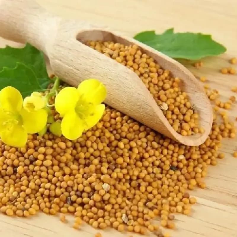 دانه خردل 140 گرم