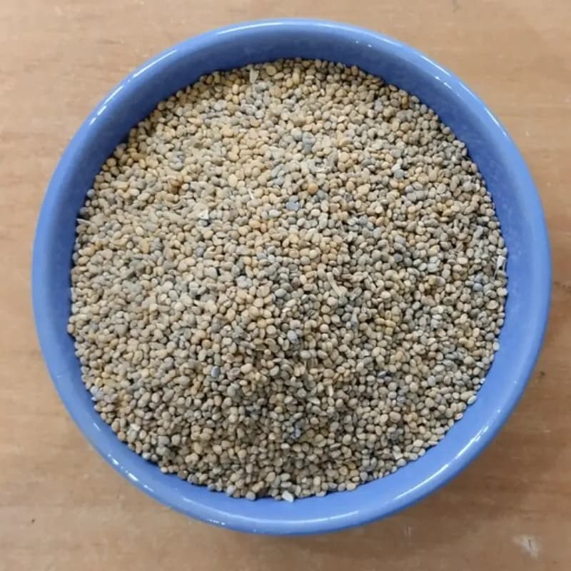 تخم (بذر) منداب (کیکج) 200 گرم
