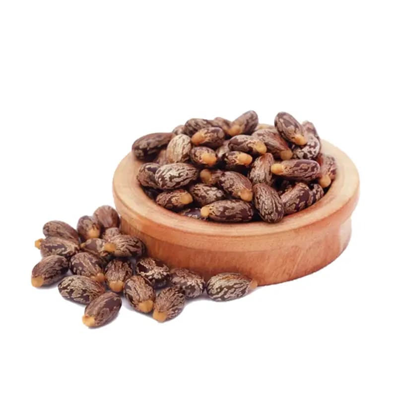 دانه کرچک (بیدانجیل) 130 گرم