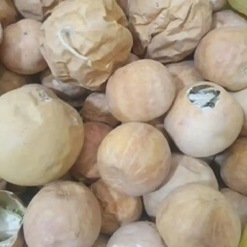 هندوانه ابوجهل 80 گرم