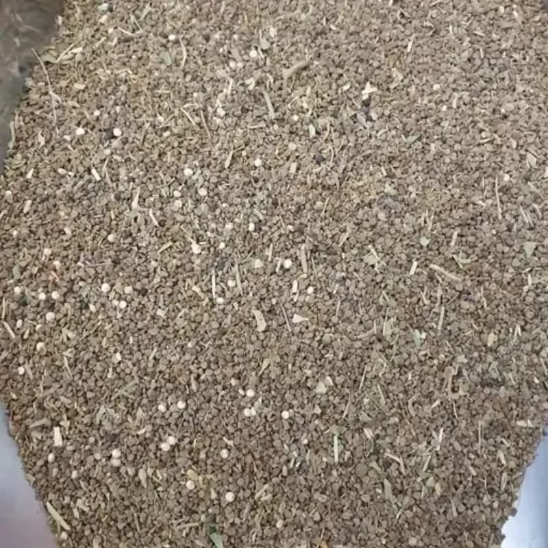بذرالبنج (بذر البنگ) 80 گرم
