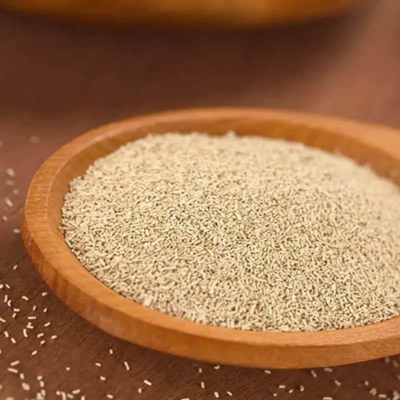 مایه خمیر 150 گرم