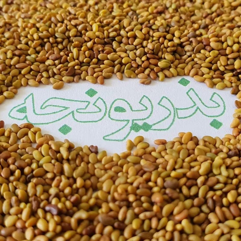 تخم یونجه (بذر) 90 گرم