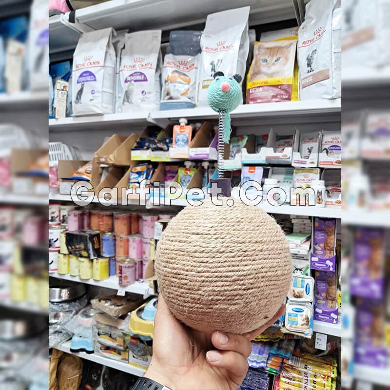 اسکرچر و اسباب بازی گربه «Maggy Pet» مدل توپ تعادل — تصویر ۲