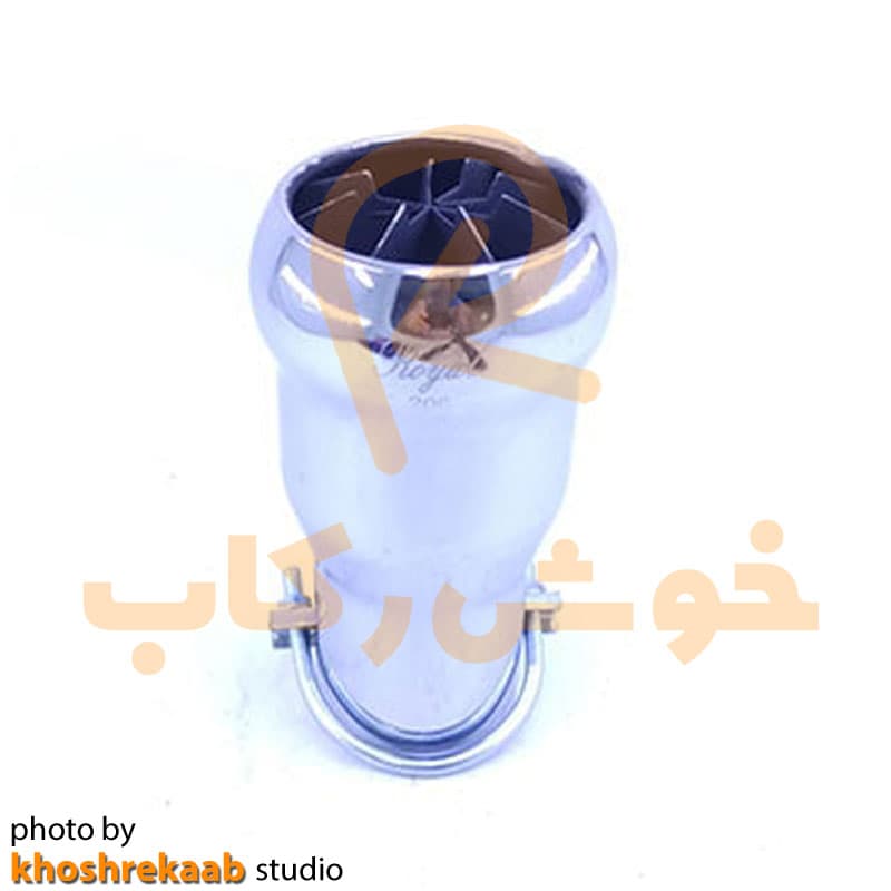 سر اگزوز سوتی مارال پژویی
