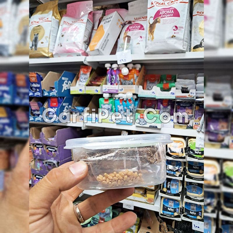علف گربه (چمن گربه)؛ مدل Cat Grass کت گرس (100 گرم) — تصویر ۳