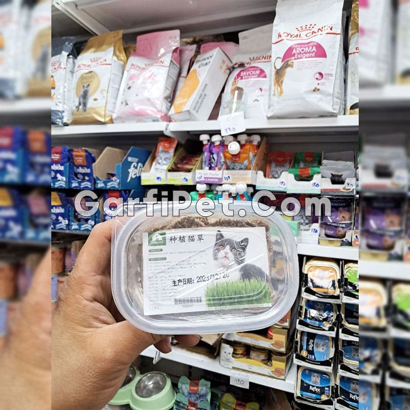 علف گربه (چمن گربه)؛ مدل Cat Grass کت گرس (100 گرم) — تصویر ۲